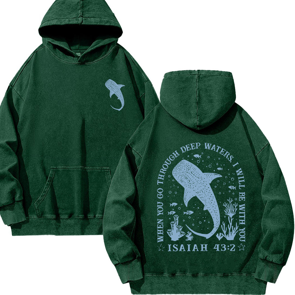 Christian Whale Shark Unisex Washed Hoodie