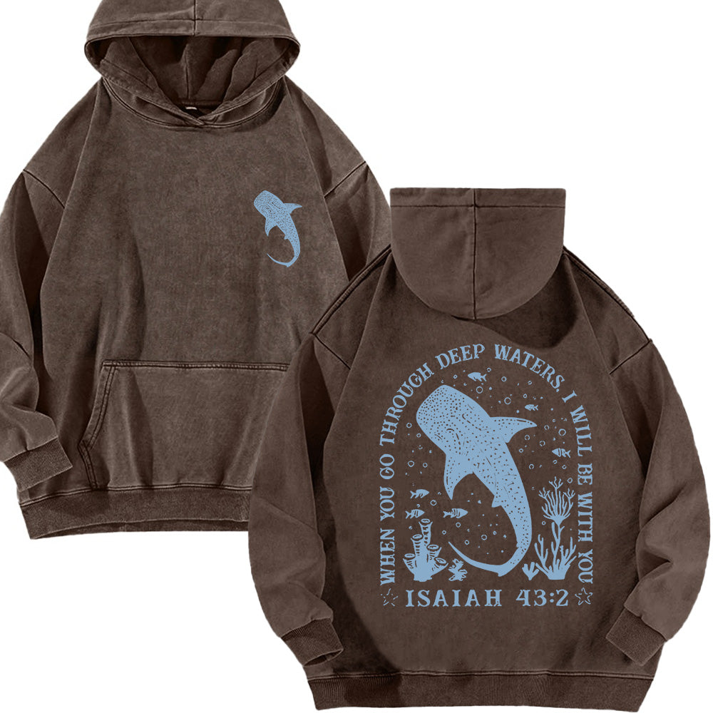 Christian Whale Shark Unisex Washed Hoodie
