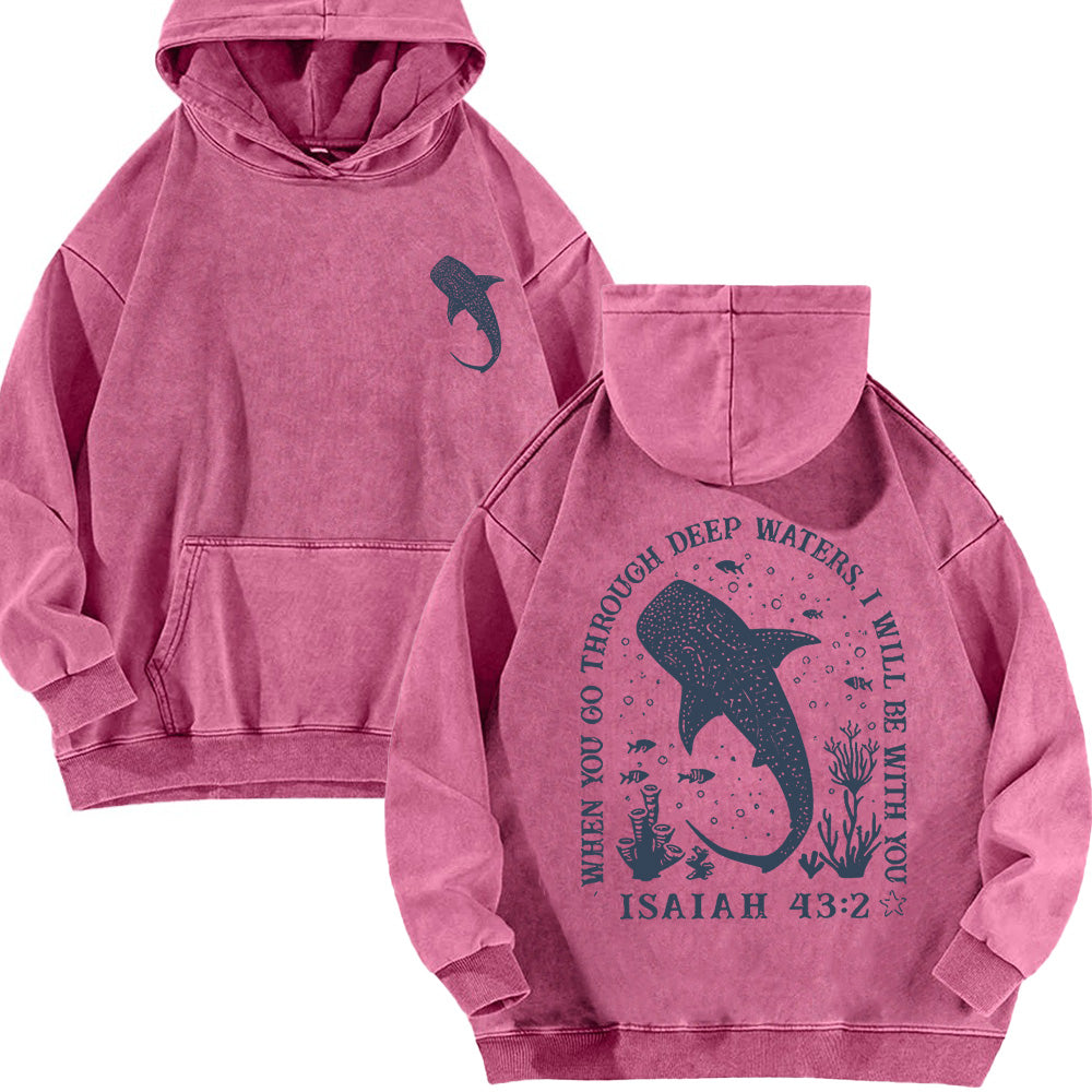 Christian Whale Shark Unisex Washed Hoodie