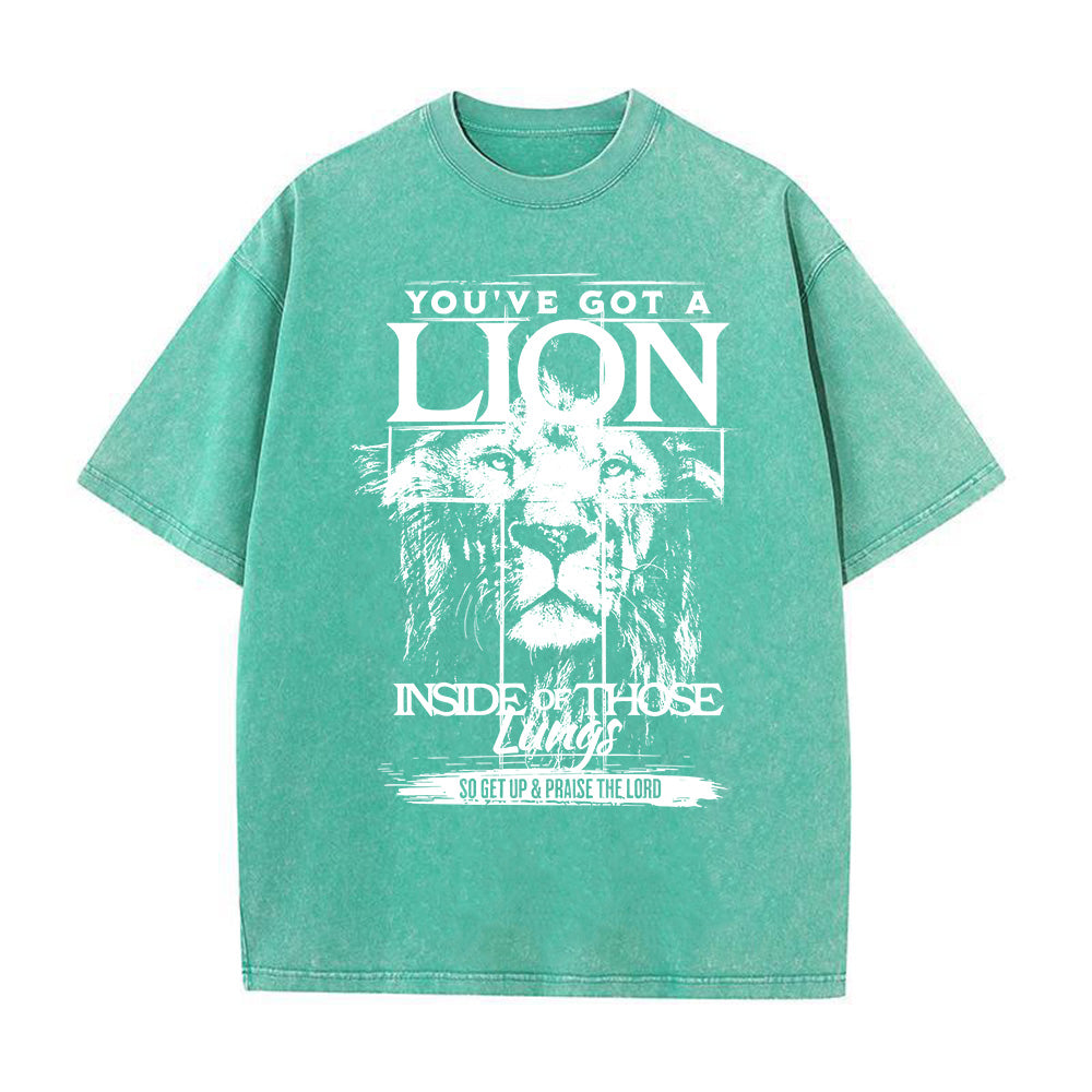 You've Got A Lion Unisex Washed T-Shirt