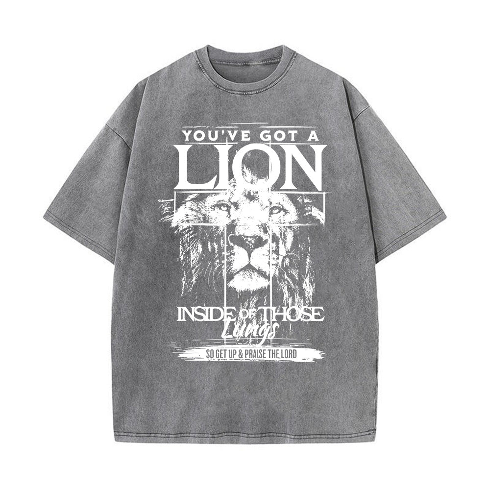 You've Got A Lion Unisex Washed T-Shirt