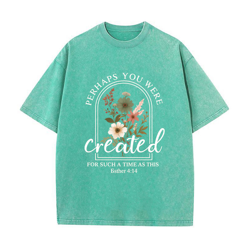 Perhaps You Were Created Unisex Washed T-Shirt