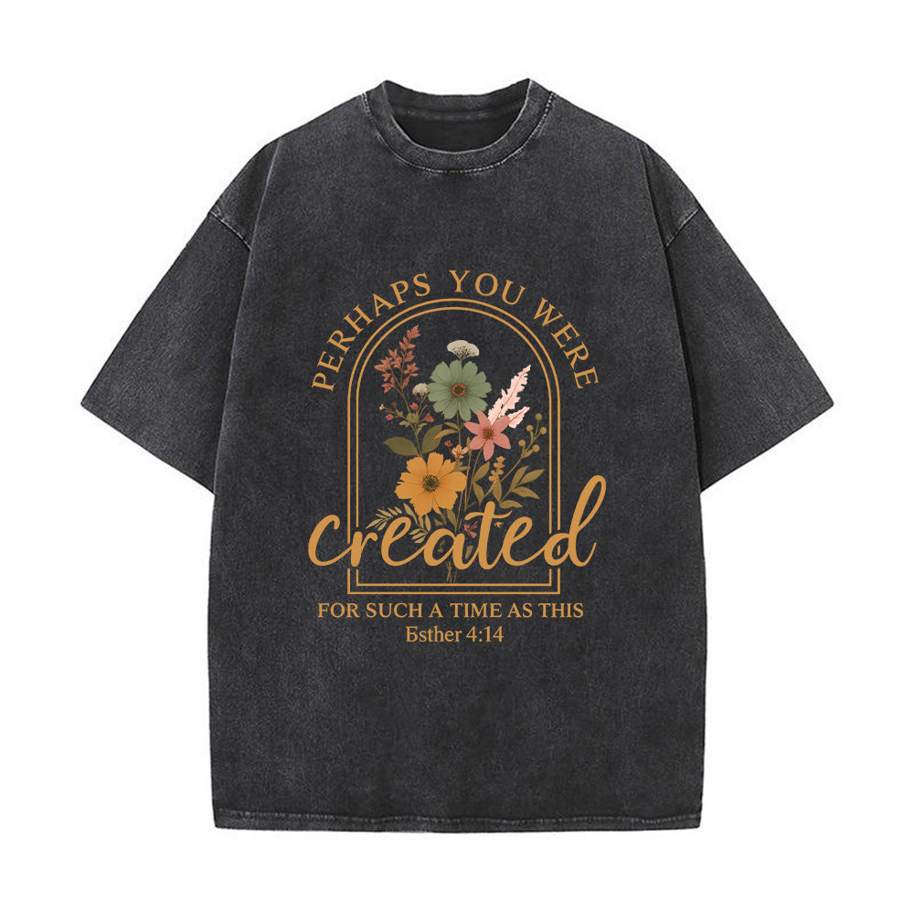 Perhaps You Were Created Unisex Washed T-Shirt
