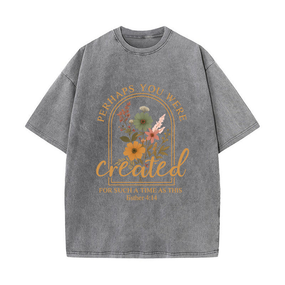 Perhaps You Were Created Unisex Washed T-Shirt