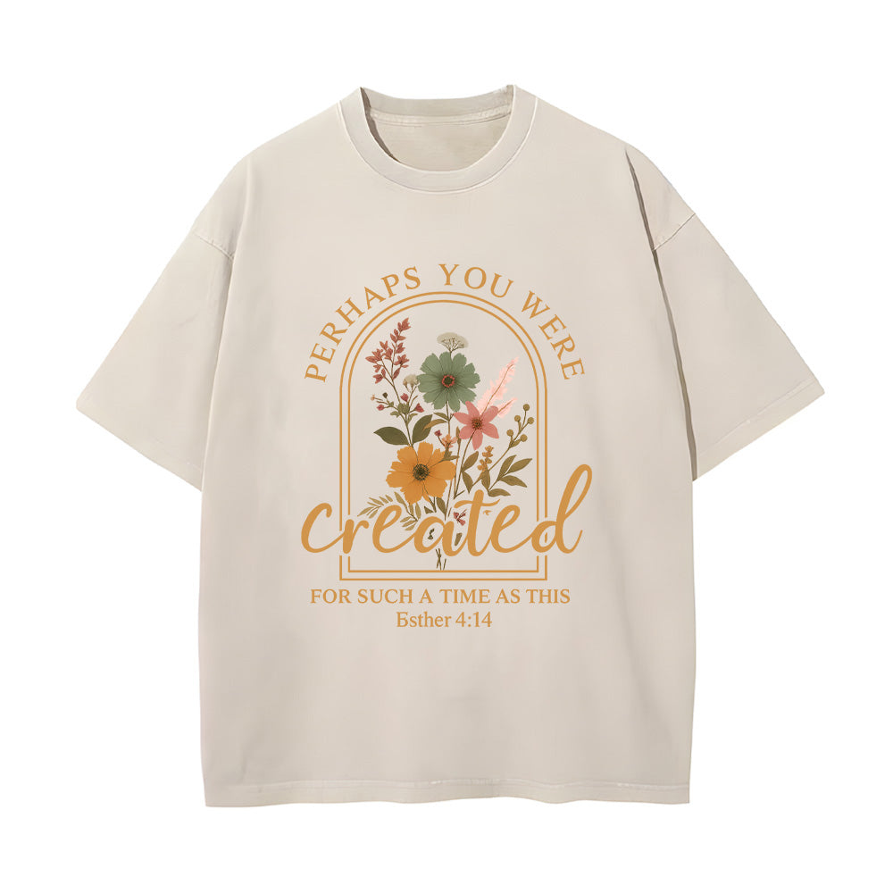 Perhaps You Were Created Unisex Washed T-Shirt