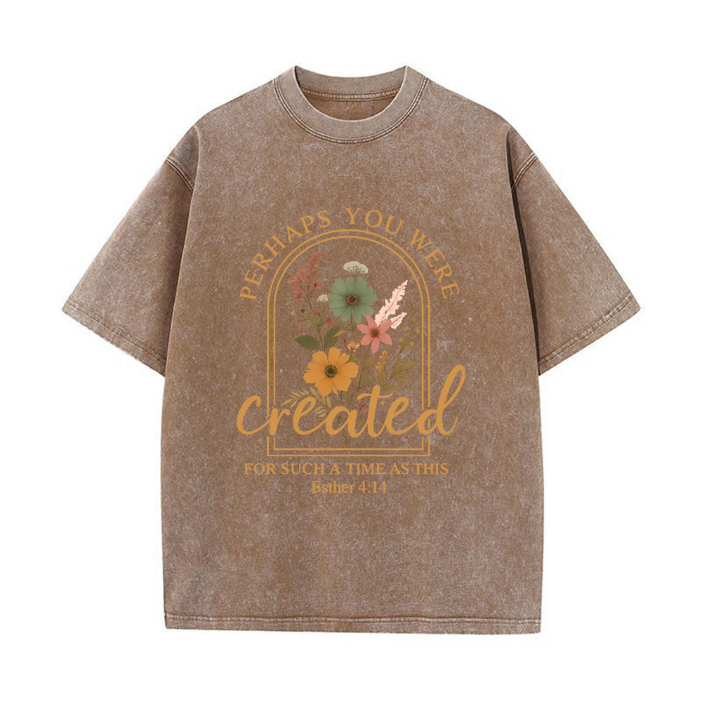Perhaps You Were Created Unisex Washed T-Shirt