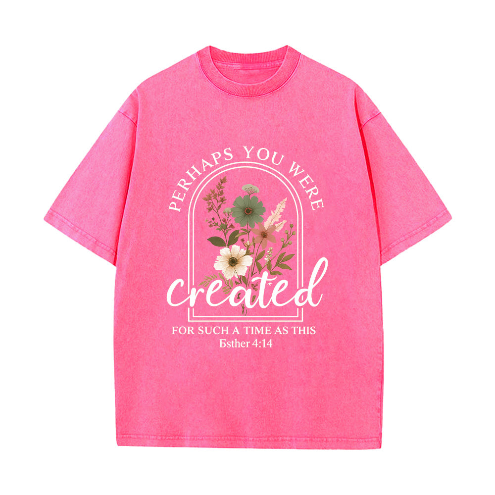 Perhaps You Were Created Unisex Washed T-Shirt