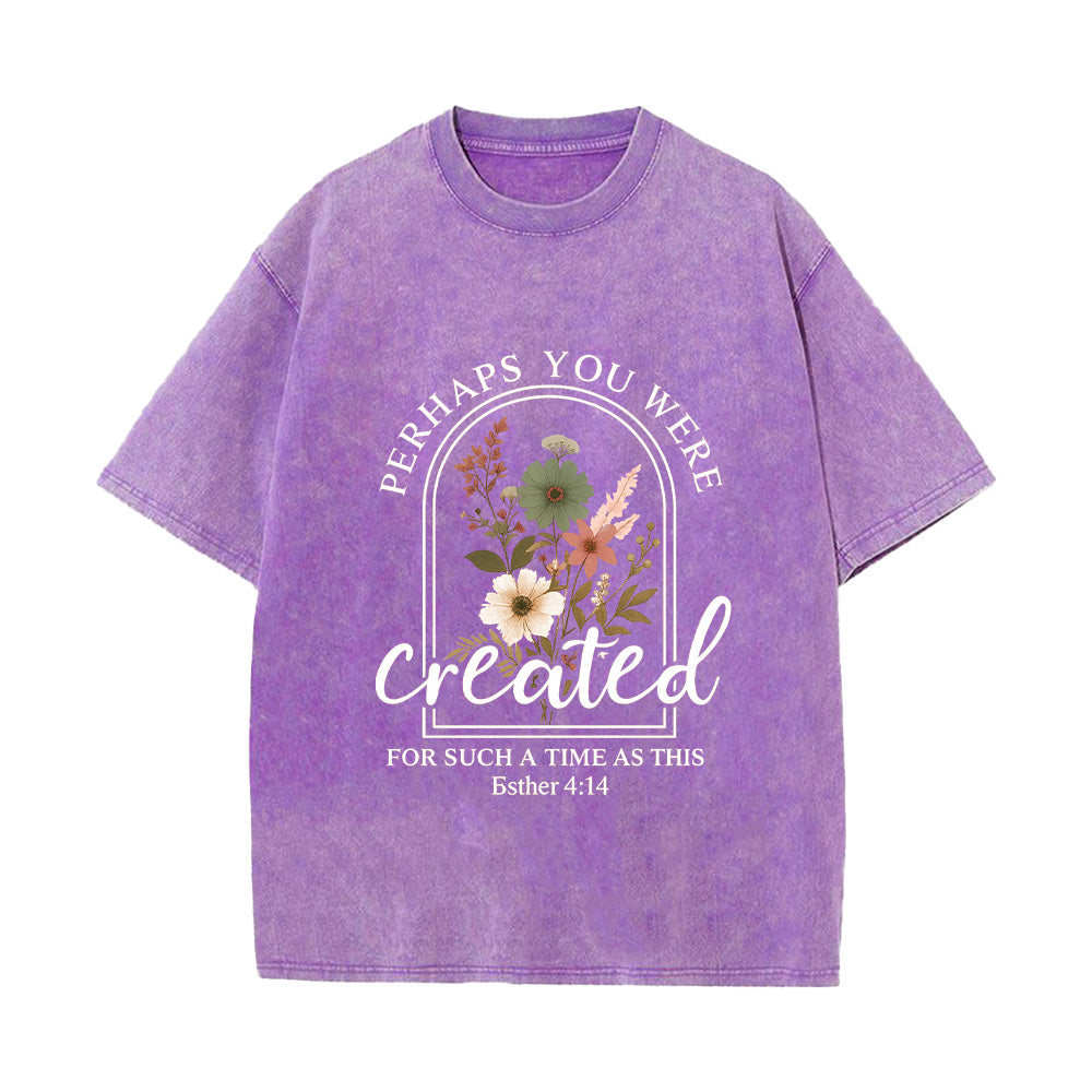 Perhaps You Were Created Unisex Washed T-Shirt