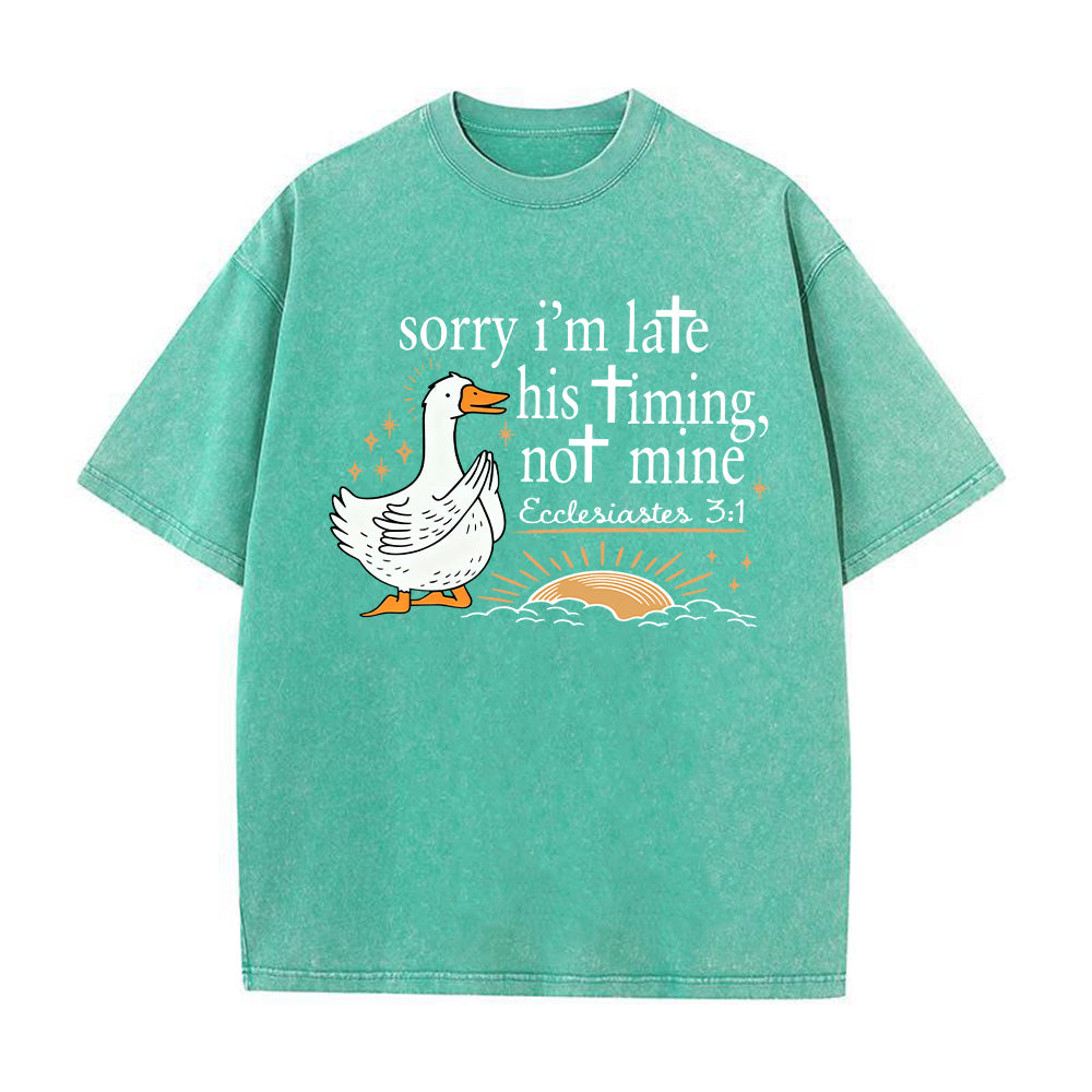 Sorry I'm Late His Timing Not Mine Unisex Washed T-Shirt