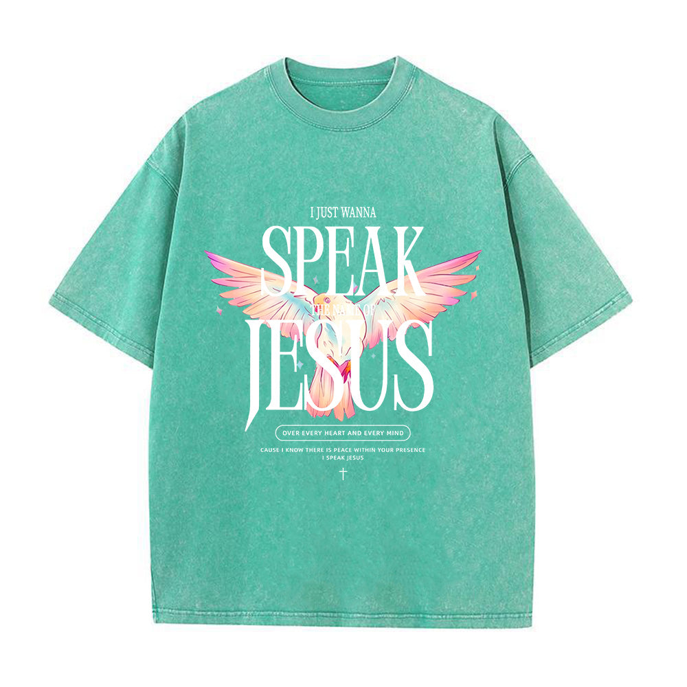 I Just Wanna Speak Jesus Unisex Washed T-Shirt