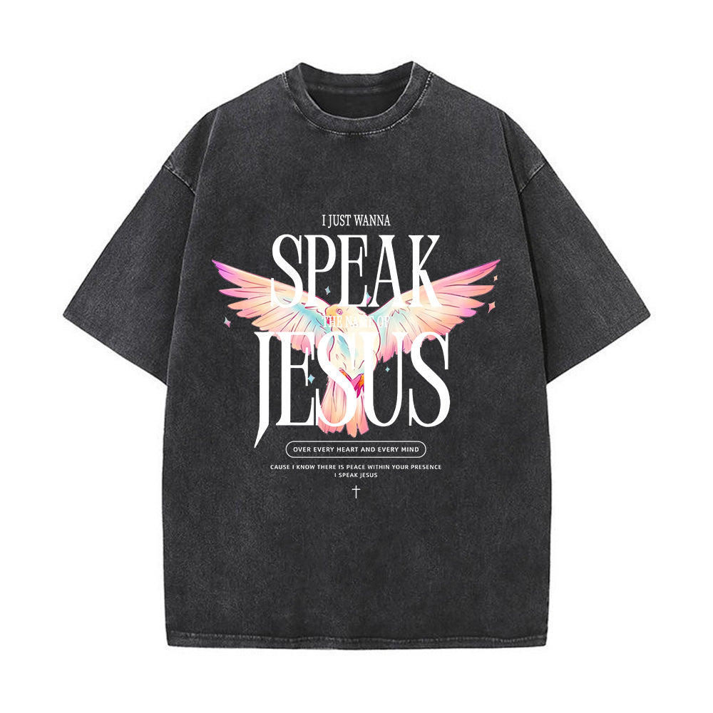 I Just Wanna Speak Jesus Unisex Washed T-Shirt