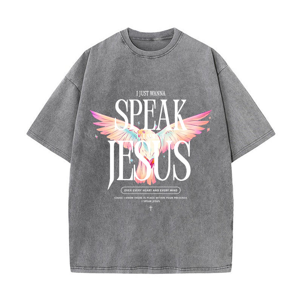 I Just Wanna Speak Jesus Unisex Washed T-Shirt