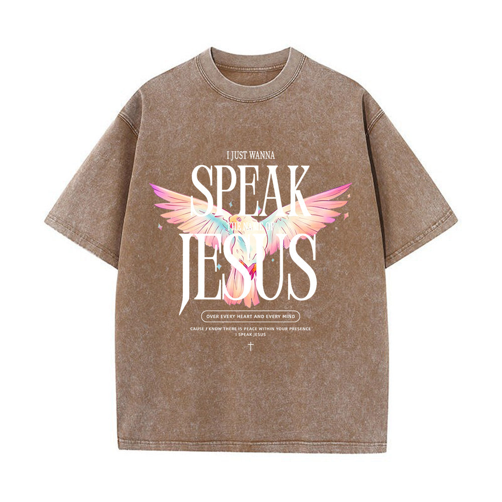 I Just Wanna Speak Jesus Unisex Washed T-Shirt
