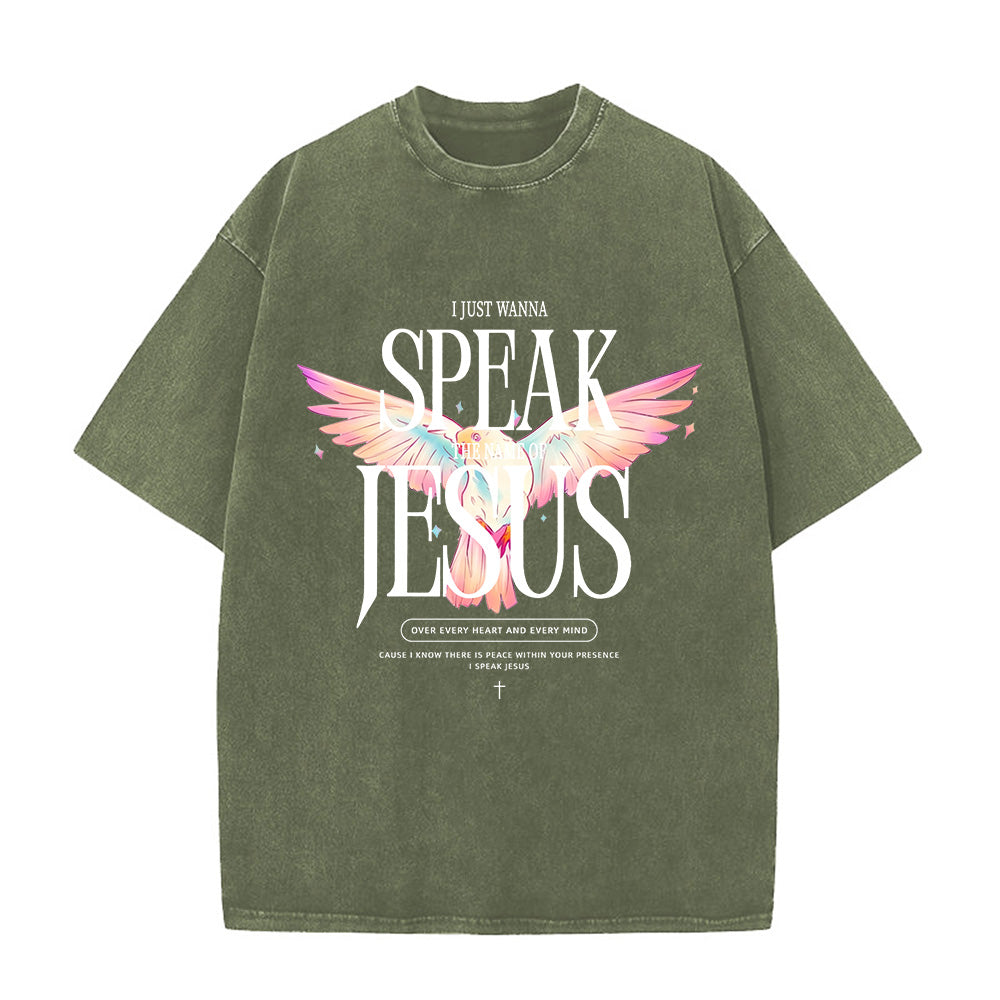 I Just Wanna Speak Jesus Unisex Washed T-Shirt