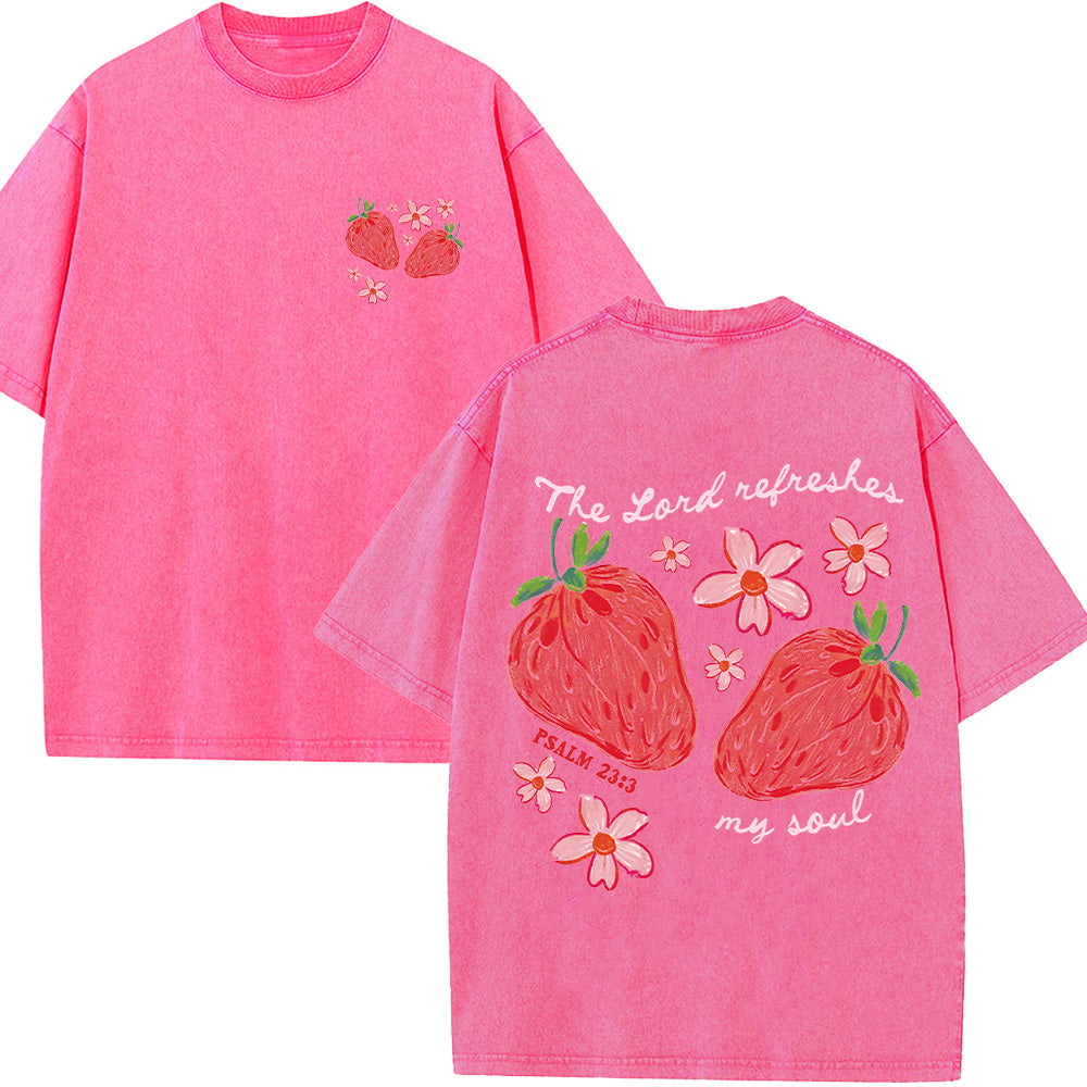 The Lord Refreshes My Soul Christian Unisex Washed T-Shirt