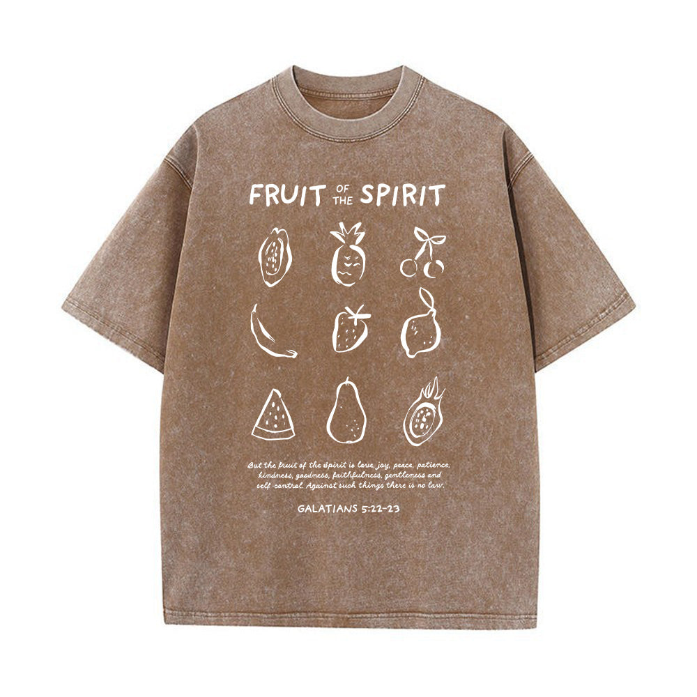 Fruit of the Spirit Christian Unisex Washed T-Shirt