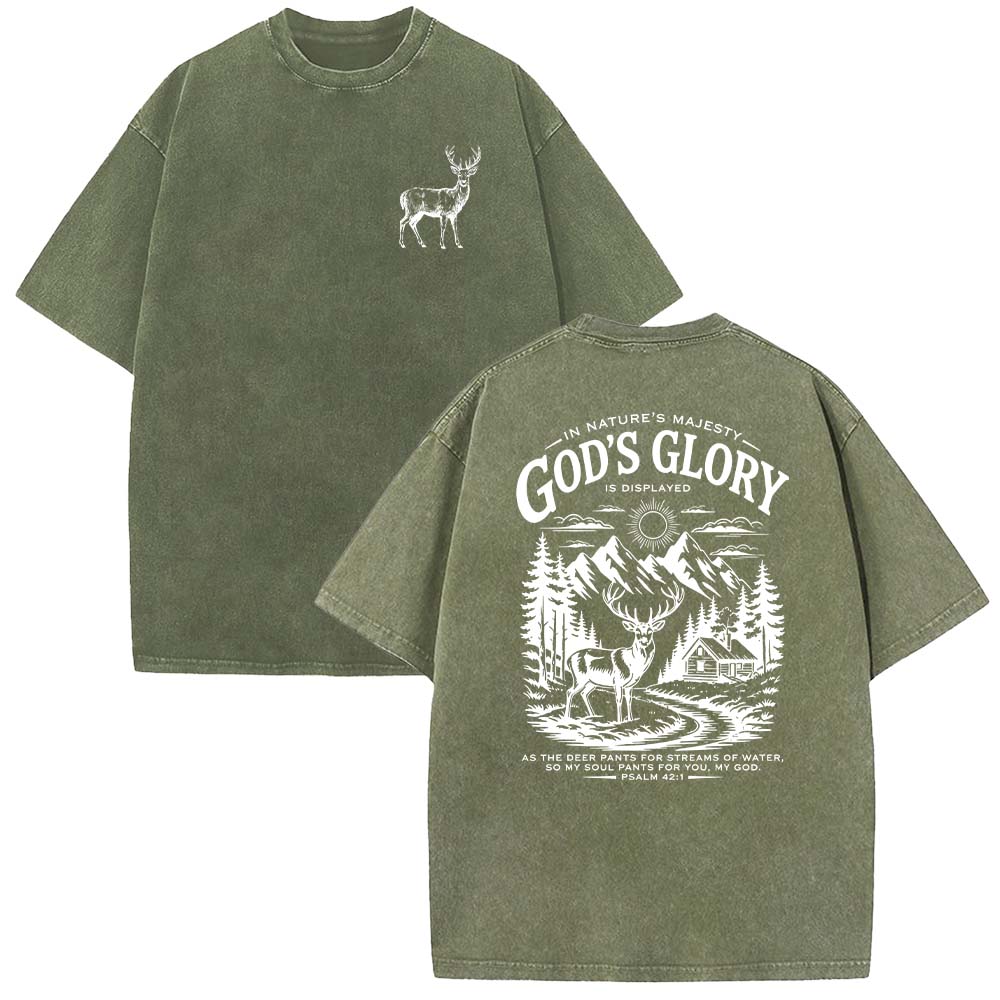 God's Glory Christian Unisex Washed T-shirt