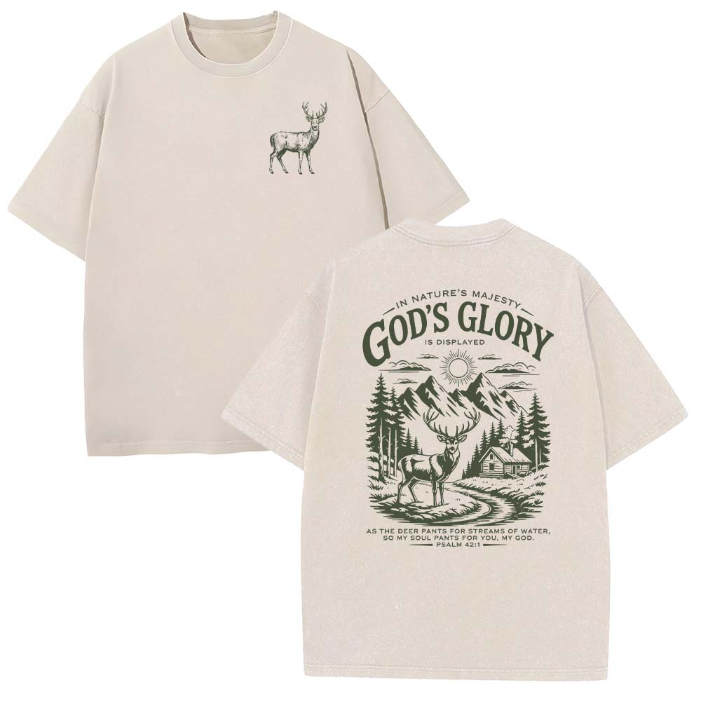God's Glory Christian Unisex Washed T-shirt