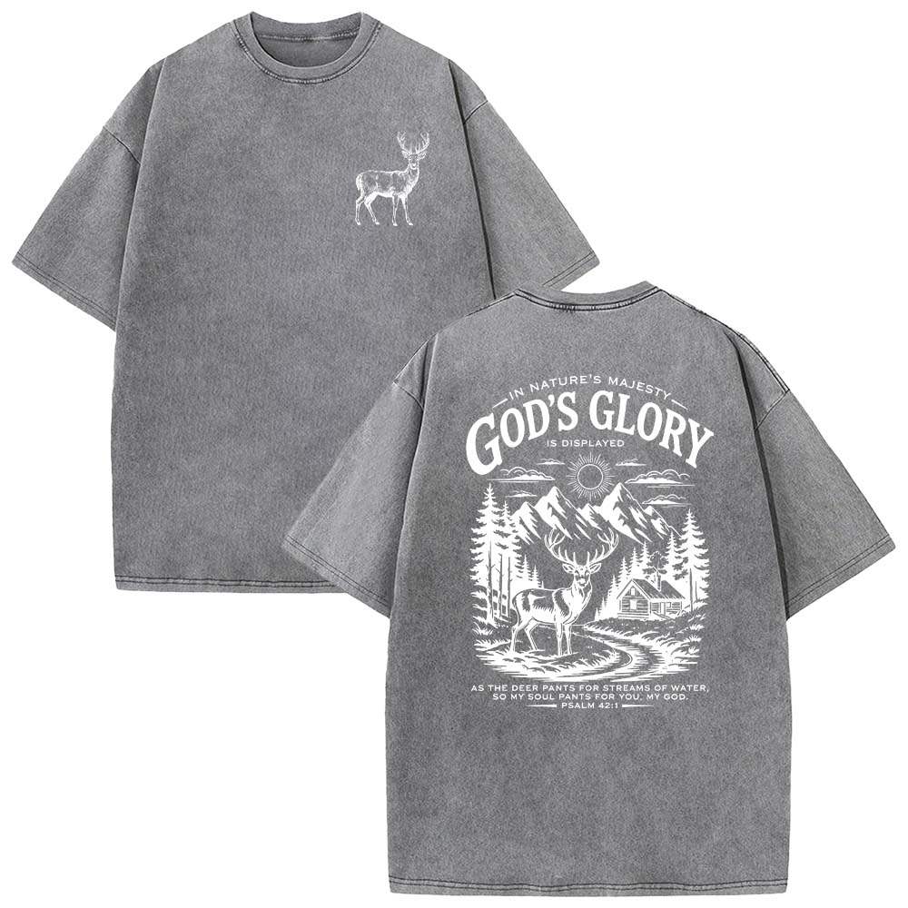 God's Glory Christian Unisex Washed T-shirt