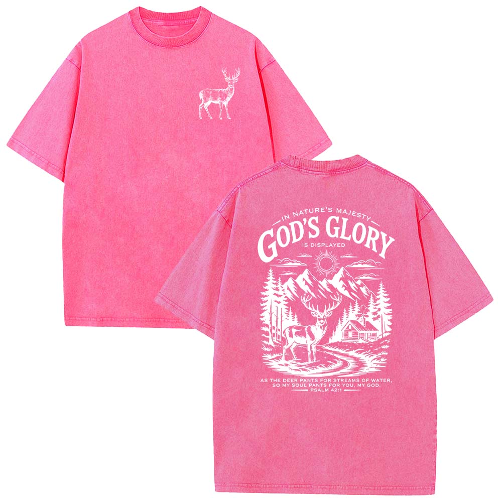 God's Glory Christian Unisex Washed T-shirt