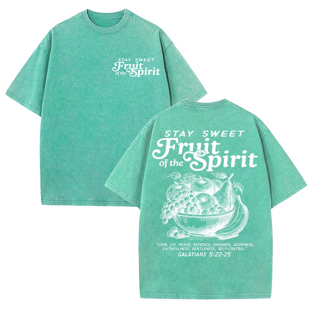 Fruit Of The Spirit Christian Unisex Washed T-Shirt