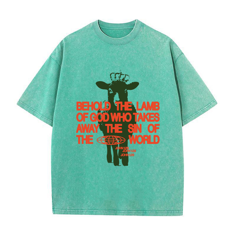 Behold the Lamb of God John 1:29 Unisex Washed T-Shirt
