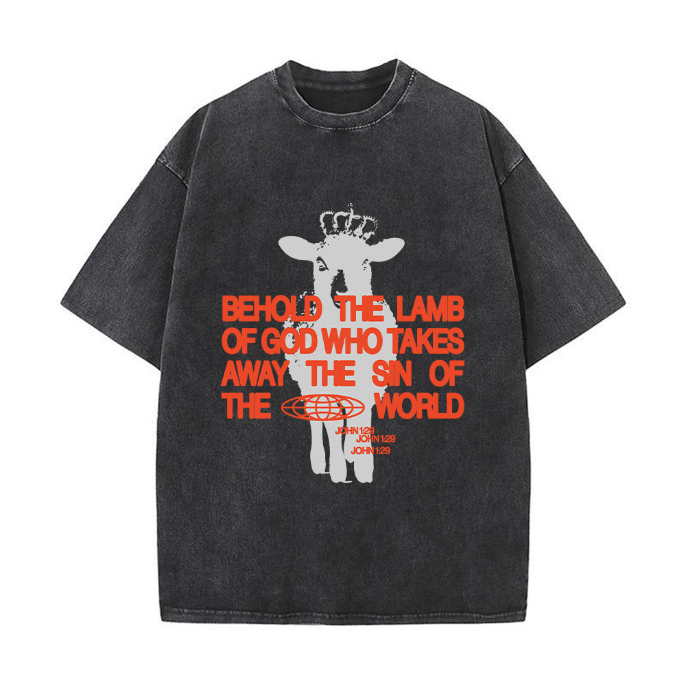 Behold the Lamb of God John 1:29 Unisex Washed T-Shirt