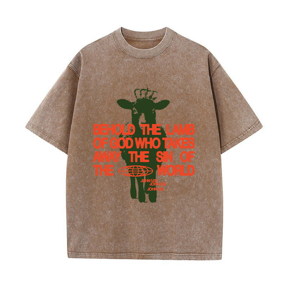 Behold the Lamb of God John 1:29 Unisex Washed T-Shirt