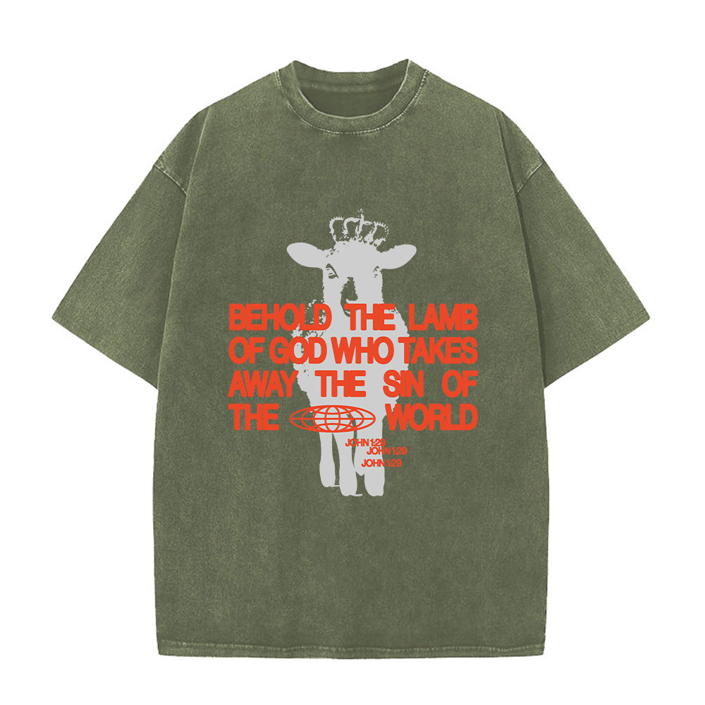 Behold the Lamb of God John 1:29 Unisex Washed T-Shirt