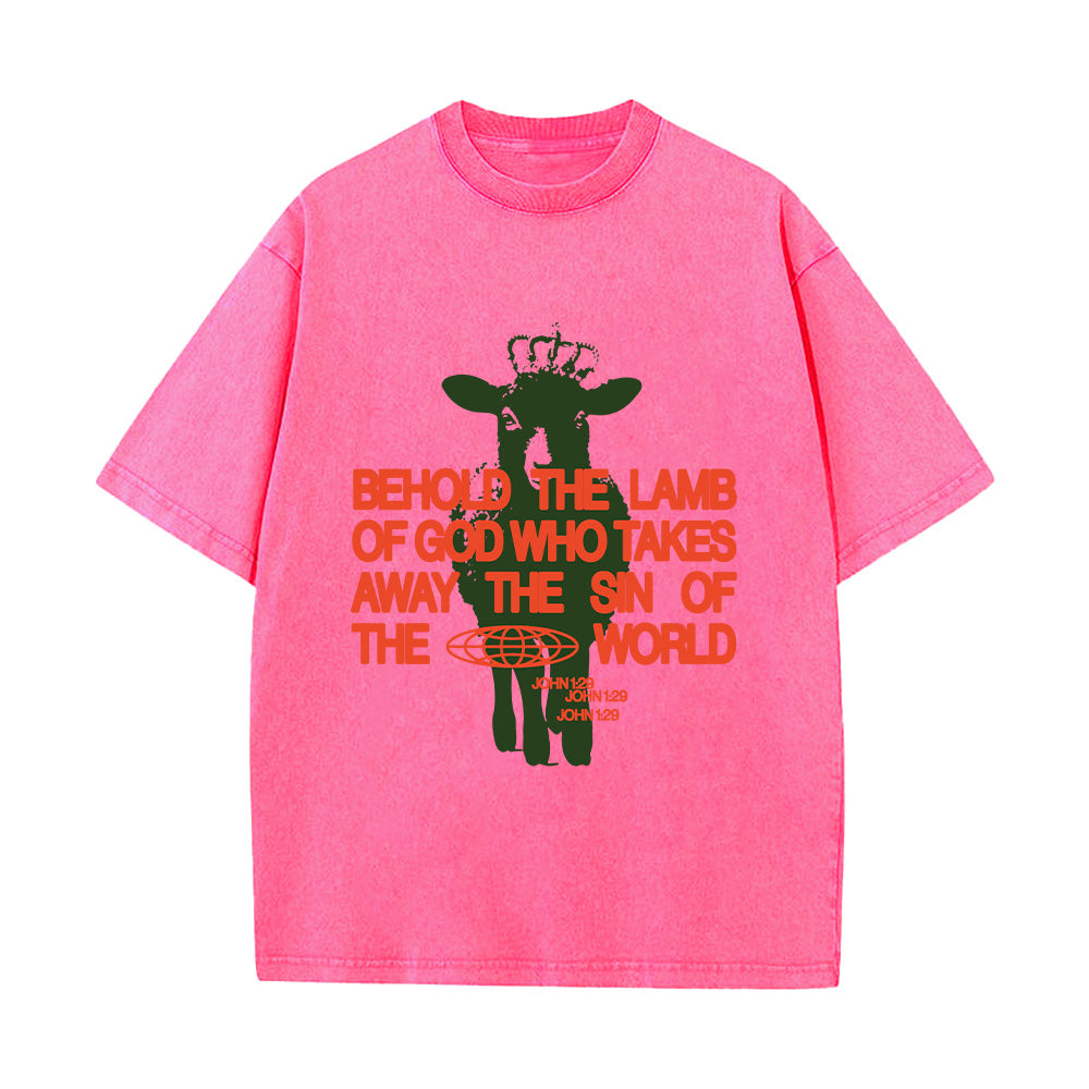 Behold the Lamb of God John 1:29 Unisex Washed T-Shirt