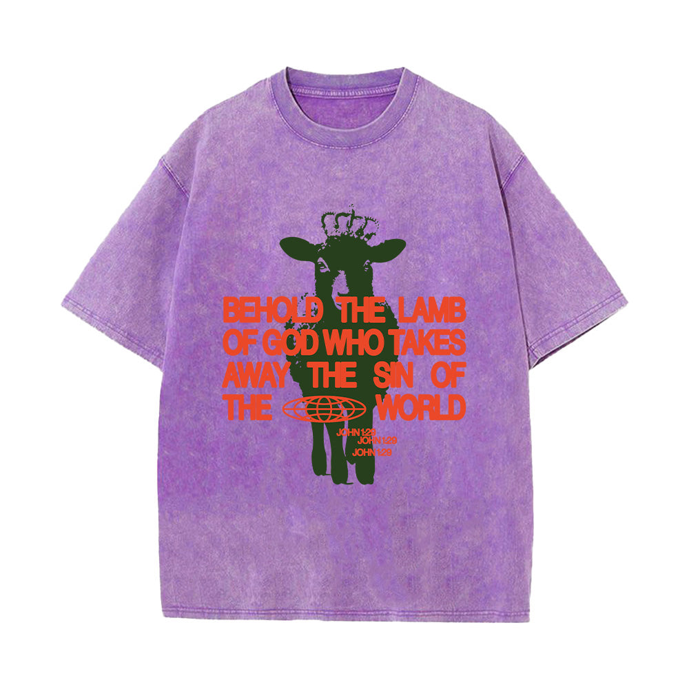 Behold the Lamb of God John 1:29 Unisex Washed T-Shirt