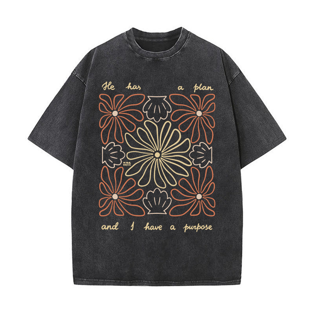 He Has a Plan, I Have a Purpose Unisex Washed T-Shirt