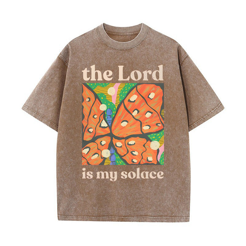 The Lord Is My Solace Unisex Washed T-Shirt