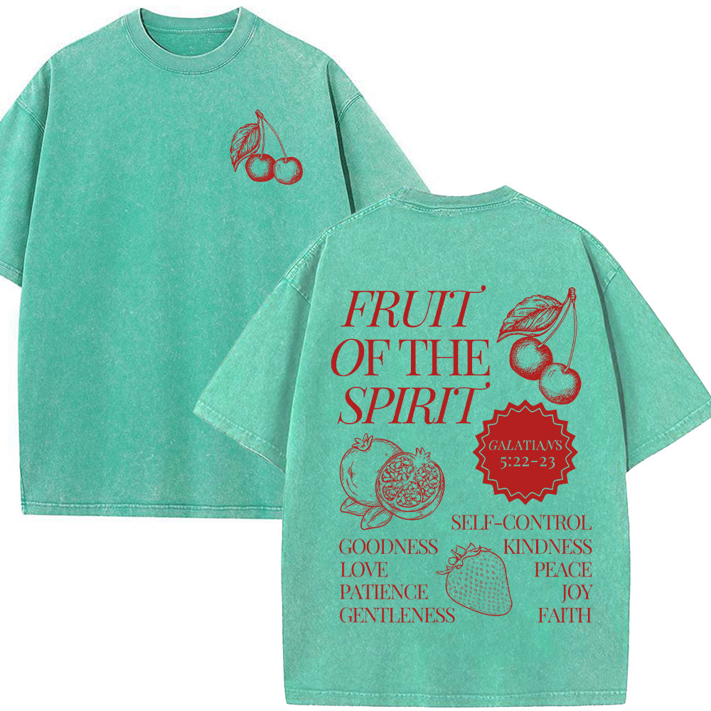 Fruit Of The Spirit Unisex Washed T-Shirt