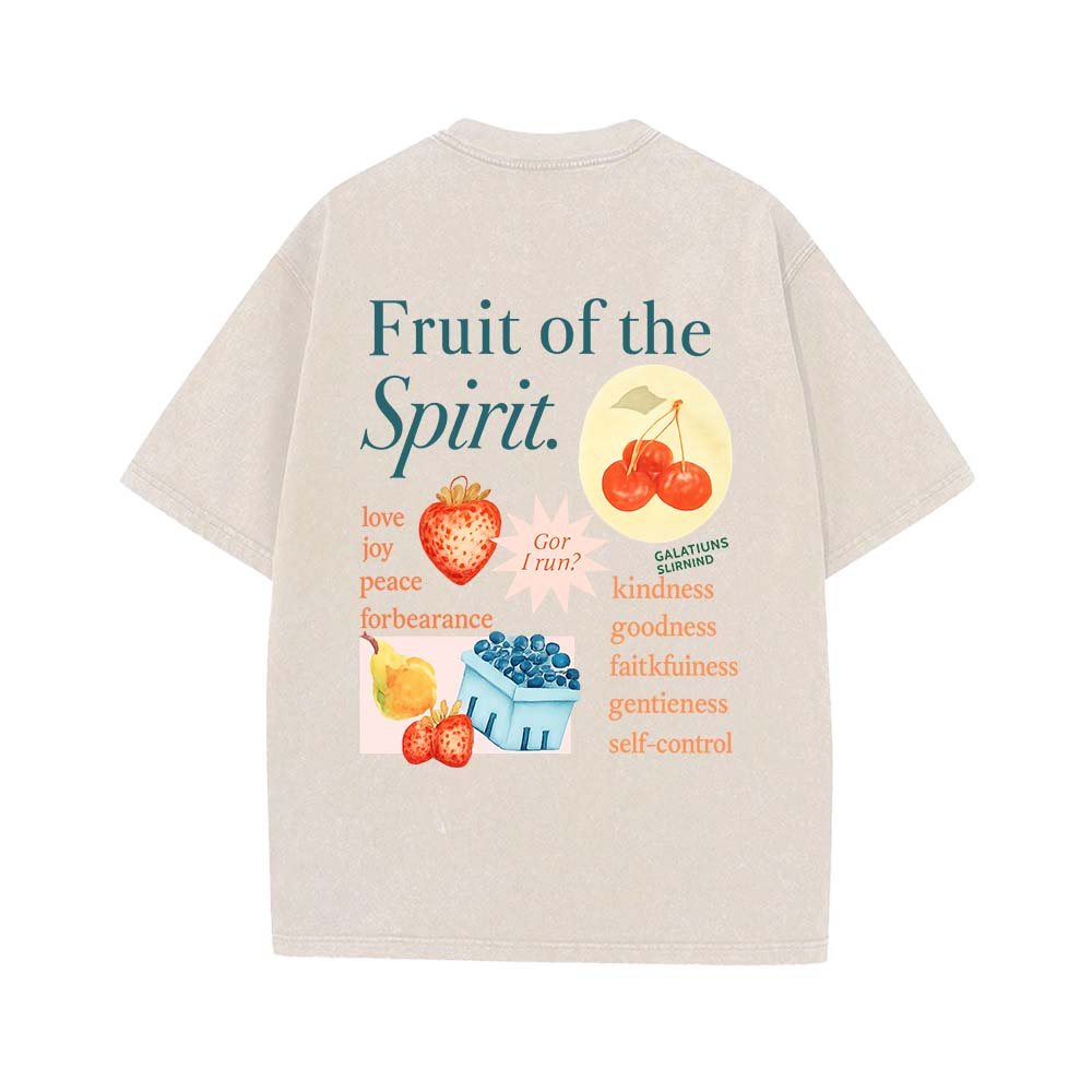Fruit Of The Spirit Truth Unisex Washed T-Shirt