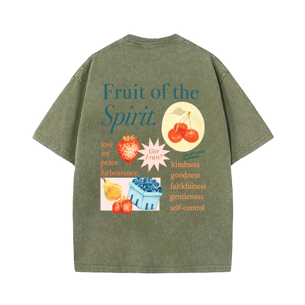 Fruit Of The Spirit Truth Unisex Washed T-Shirt