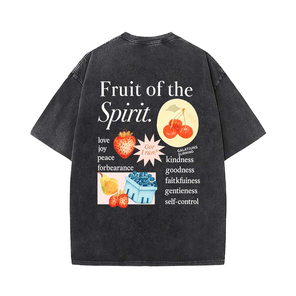 Fruit Of The Spirit Truth Unisex Washed T-Shirt