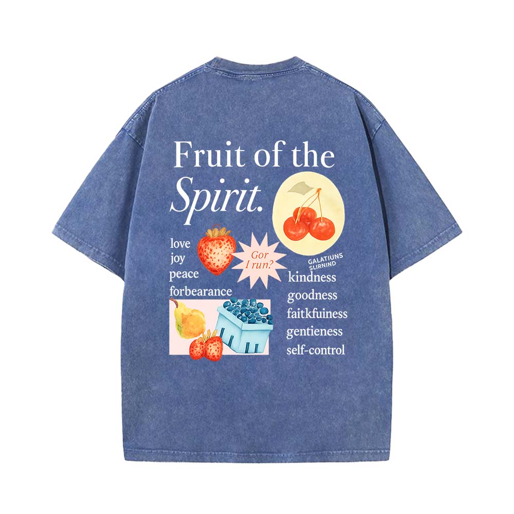 Fruit Of The Spirit Truth Unisex Washed T-Shirt