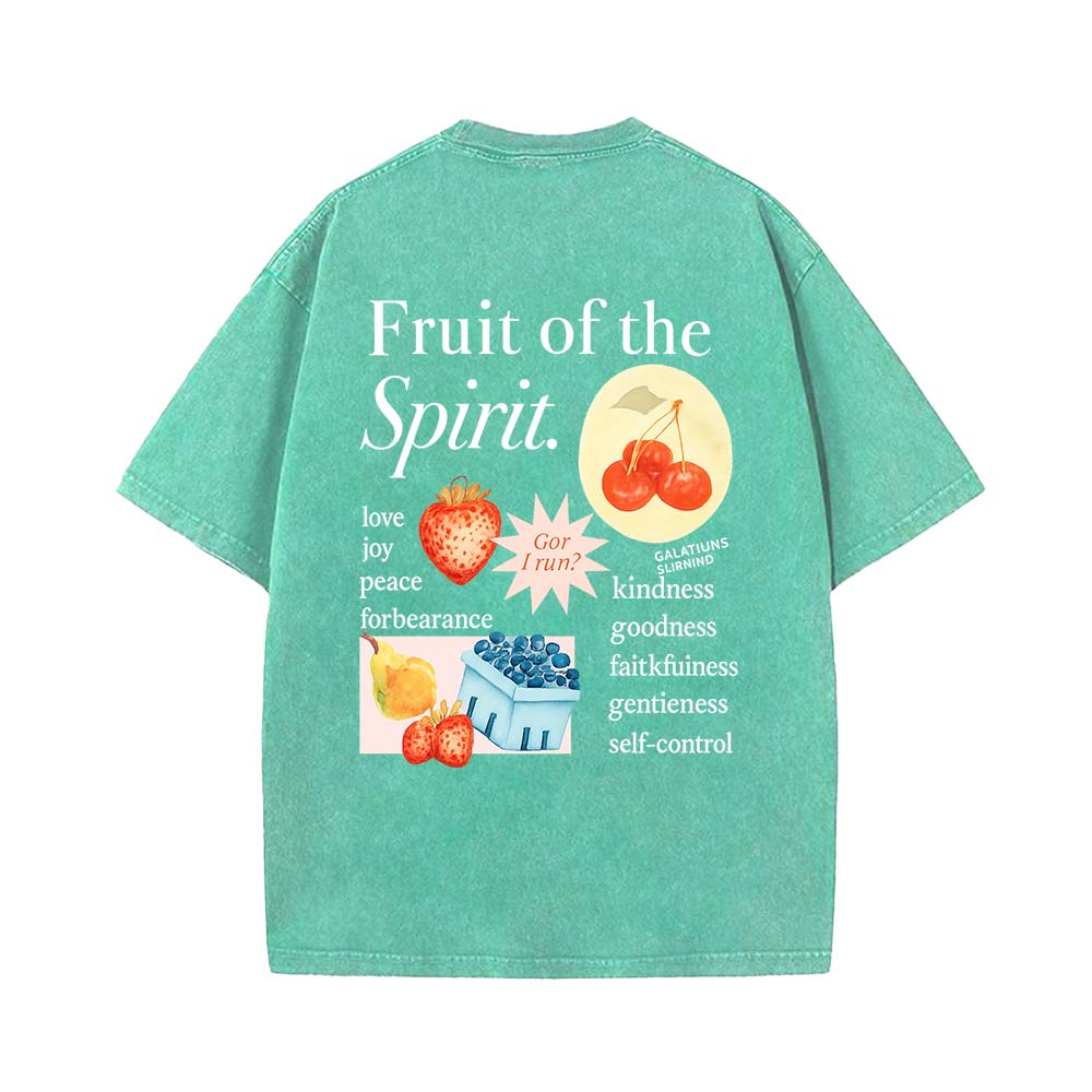 Fruit Of The Spirit Truth Unisex Washed T-Shirt