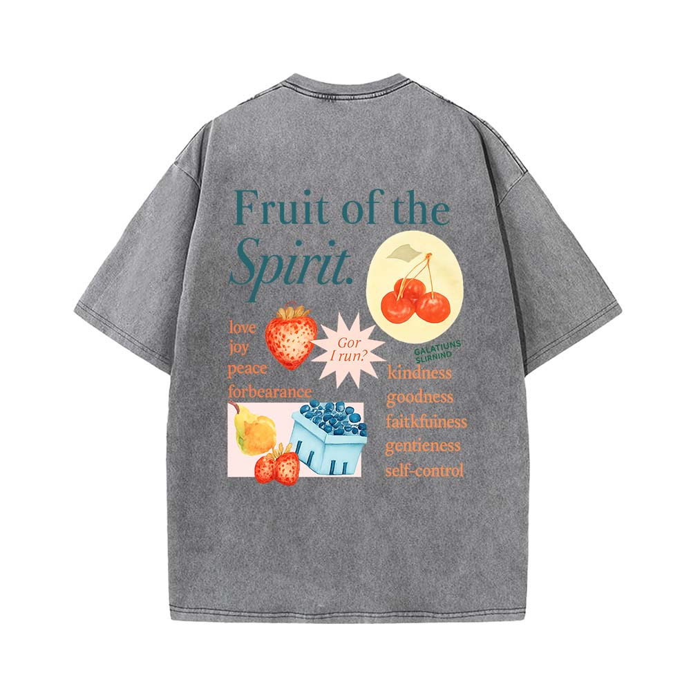 Fruit Of The Spirit Truth Unisex Washed T-Shirt