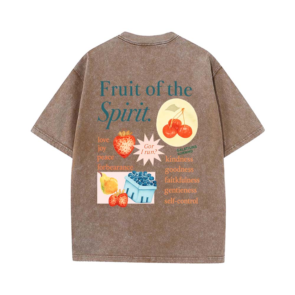 Fruit Of The Spirit Truth Unisex Washed T-Shirt