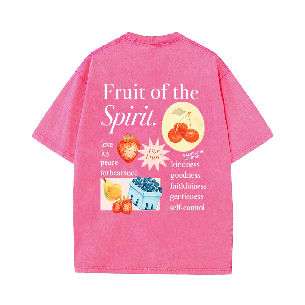 Fruit Of The Spirit Truth Unisex Washed T-Shirt