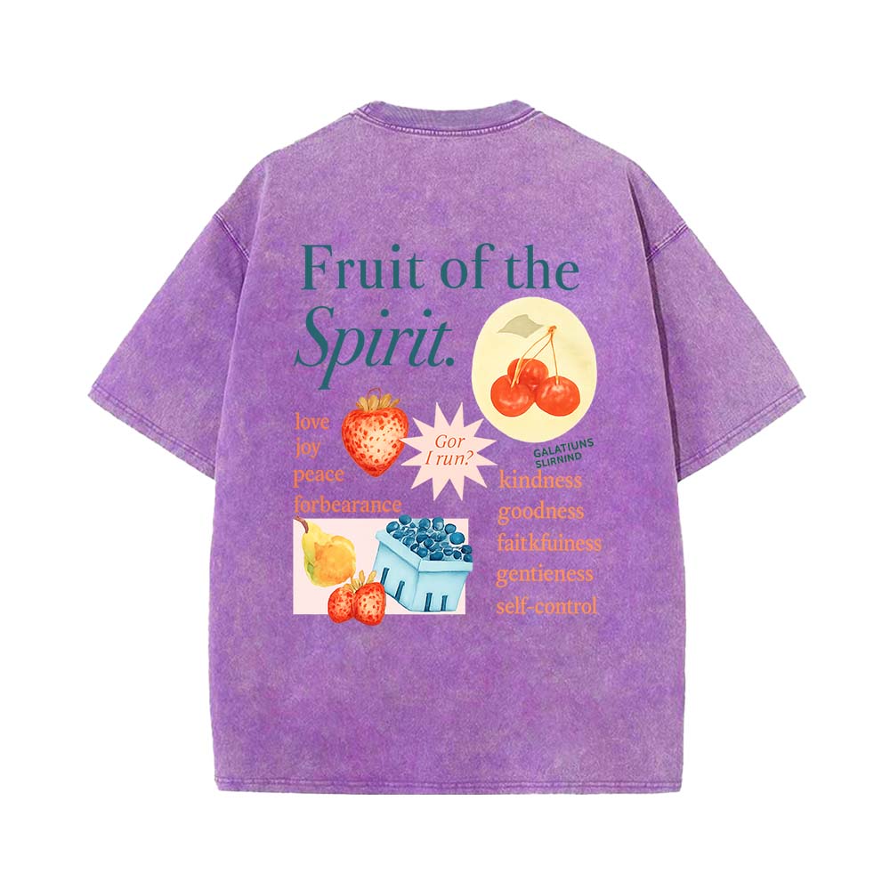 Fruit Of The Spirit Truth Unisex Washed T-Shirt